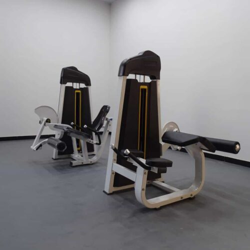 Leg extension and leg curl